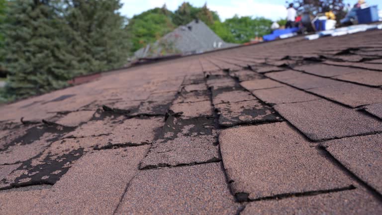 Best Asphalt Shingles Roofing  in Moosic, PA