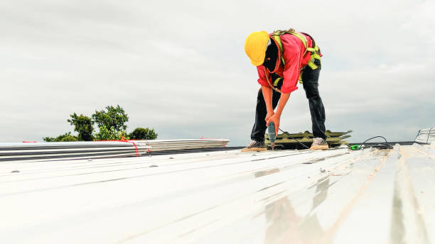 Best Solar Panel Roofing Installation  in Moosic, PA