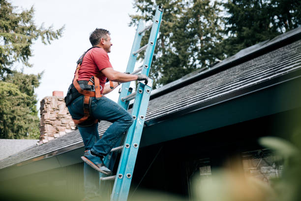 Best Asphalt Shingle Roofing  in Moosic, PA